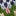 Edie Fair-Isle-Strickjacke-Blau Nussknacker