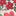 Manteau imperméable 4-en-1-Lit de fleurs rose extase