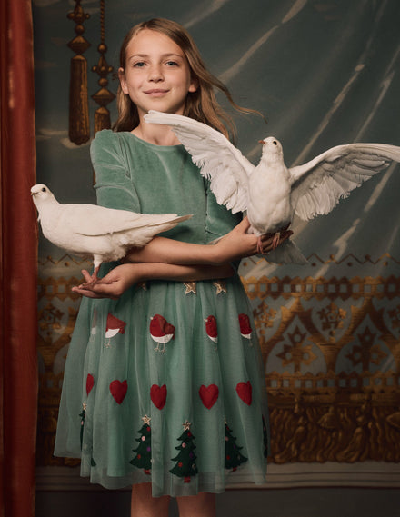 Velours-Tüllkleid mit Applikation-Rotkehlchen-Motiv