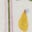 Eng anliegender Henley-Schlafanzug-Sanftes Naturweiß Frühling Kleines Blumenmuster