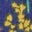 Sweatkleid mit Lochstickerei-Toffeebraun Blumenstempel