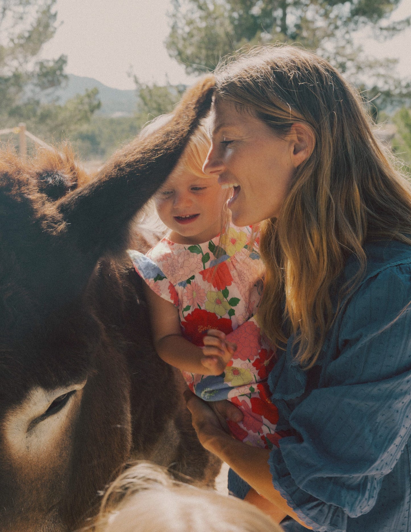 Ruffle Sleeve Romper-Multi Summer Garden