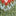 Fair-Isle-Pullover-Blau Festliches Rentier