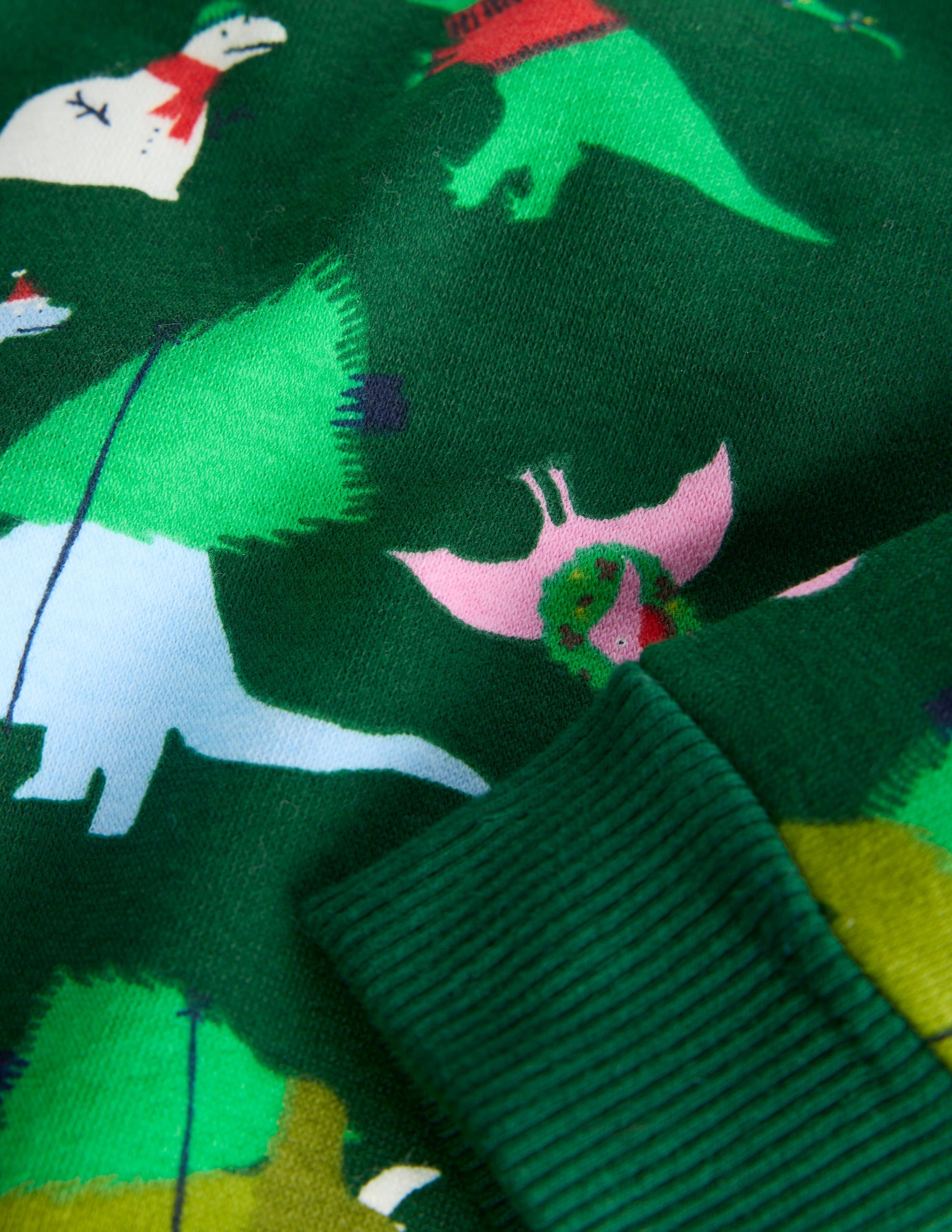 Bedrucktes Sweatshirt-Grün Dinosaurier-3