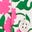 Alegra Midi Shirt Dress-Pink Ribbon, Floweret Vine