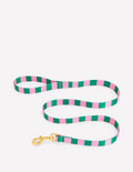 Laisse pour chien-Rayé vert/rose