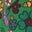 Alexa Maxi-Hemdblusenkleid-Rosa Pfingstrose, Botanic Blush-Motiv