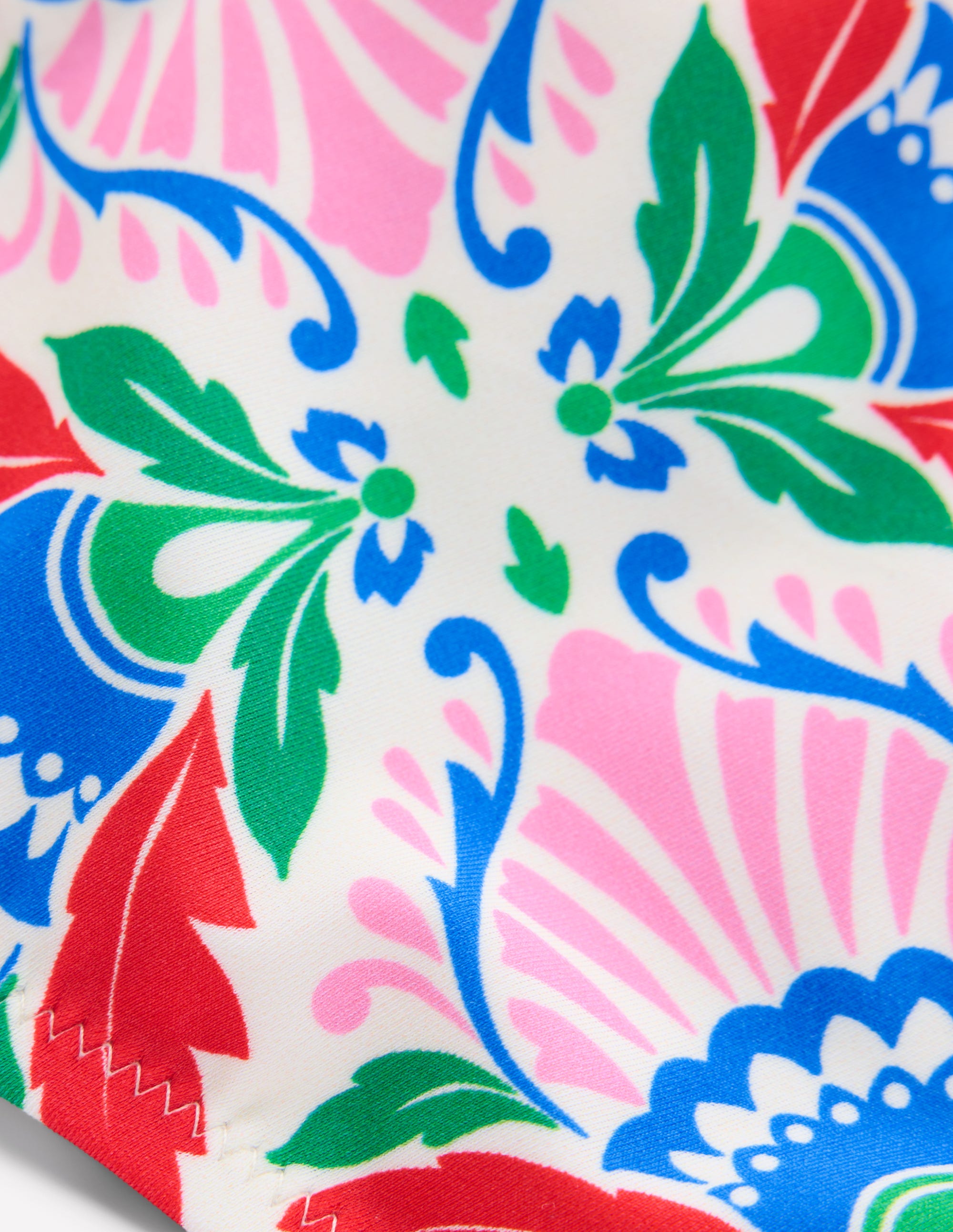 Bas de bikini intemporel-Multi, motif Ornate Thistle - Image 6