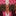 Edie Fair-Isle-Top-Rosa Klassisches Fair-Isle