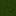Pantalon Canonbury en velours-Sapin vert