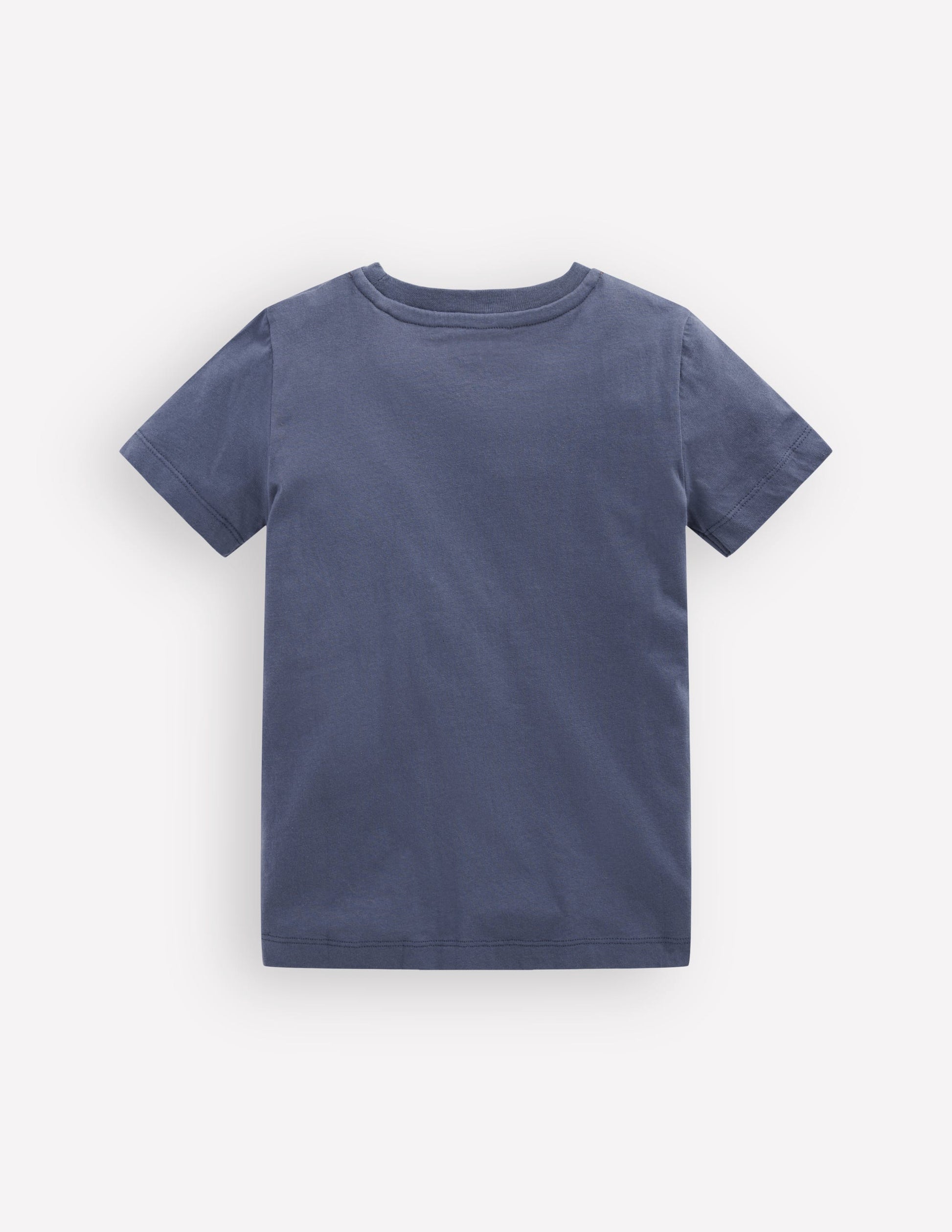 T-shirt manches courtes à appliqué-Rayé tigre indigo vintage-2