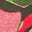 T-Shirt mit Vintage-Waschung und Grafik-Rot Dino