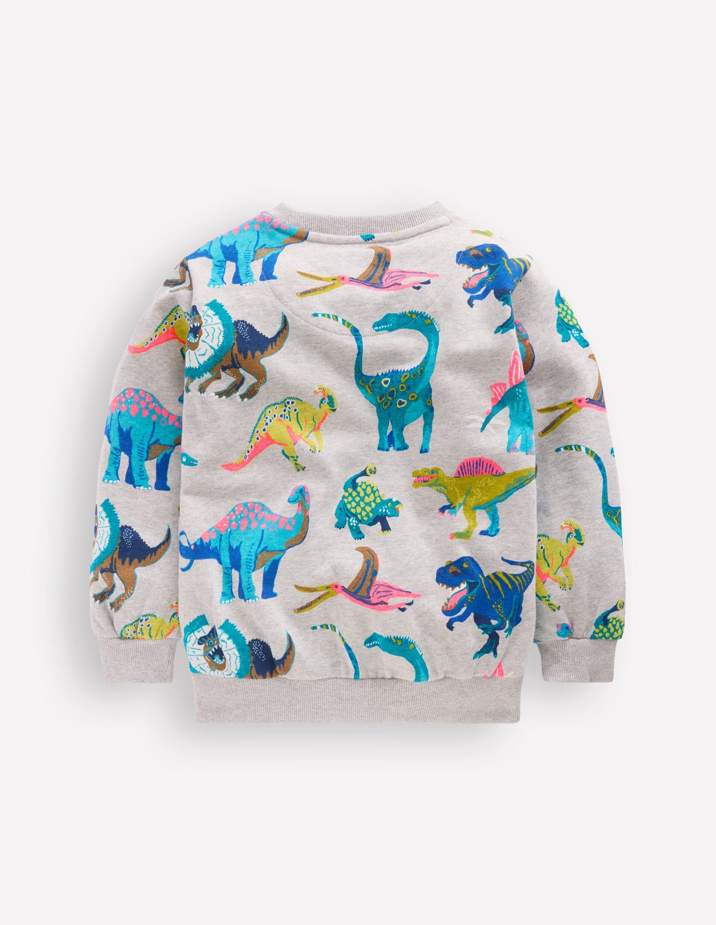 Bedrucktes Sweatshirt für den Alltag-Grau Dinosaurier