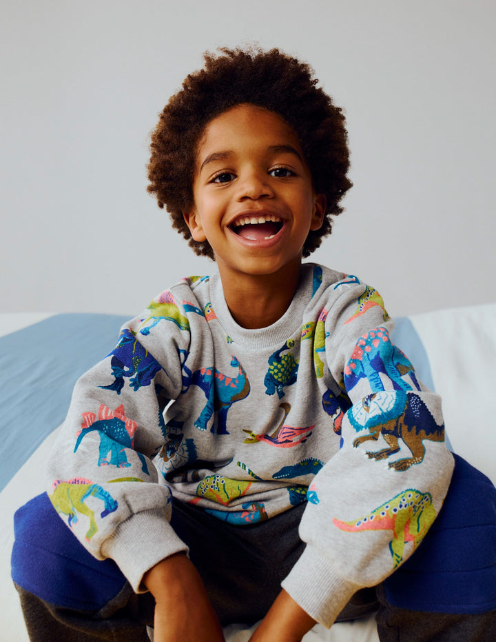 Sweat imprimé pour tous les jours-Dinos gris
