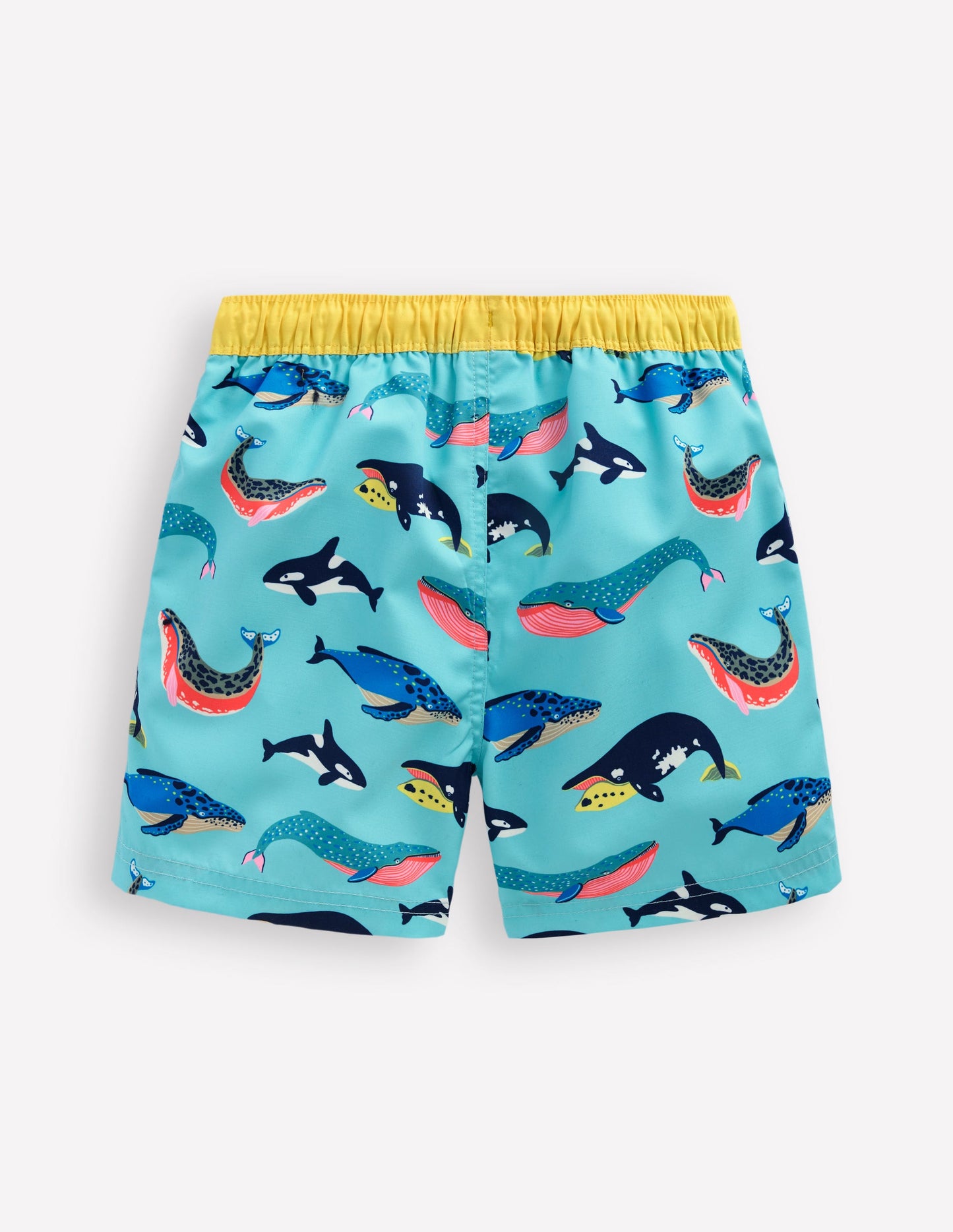 Short de bain-Baleines qui nagent