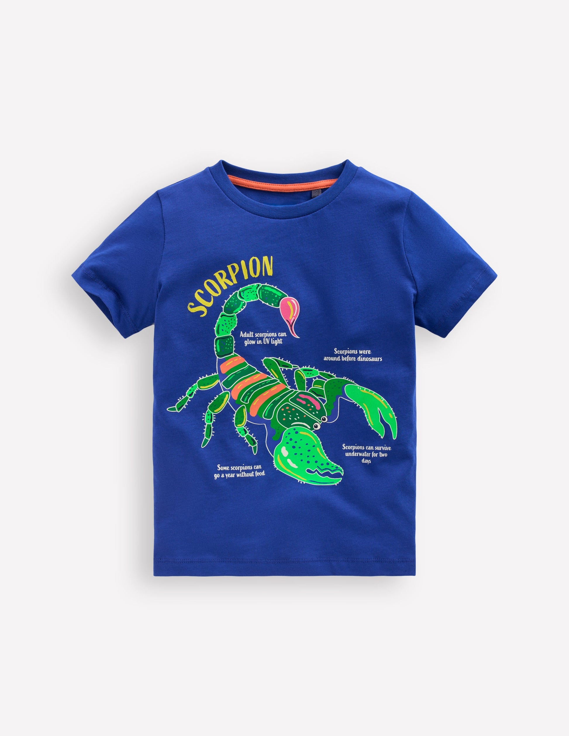 T-shirt phosphorescent-Scorpion bleu vif-1