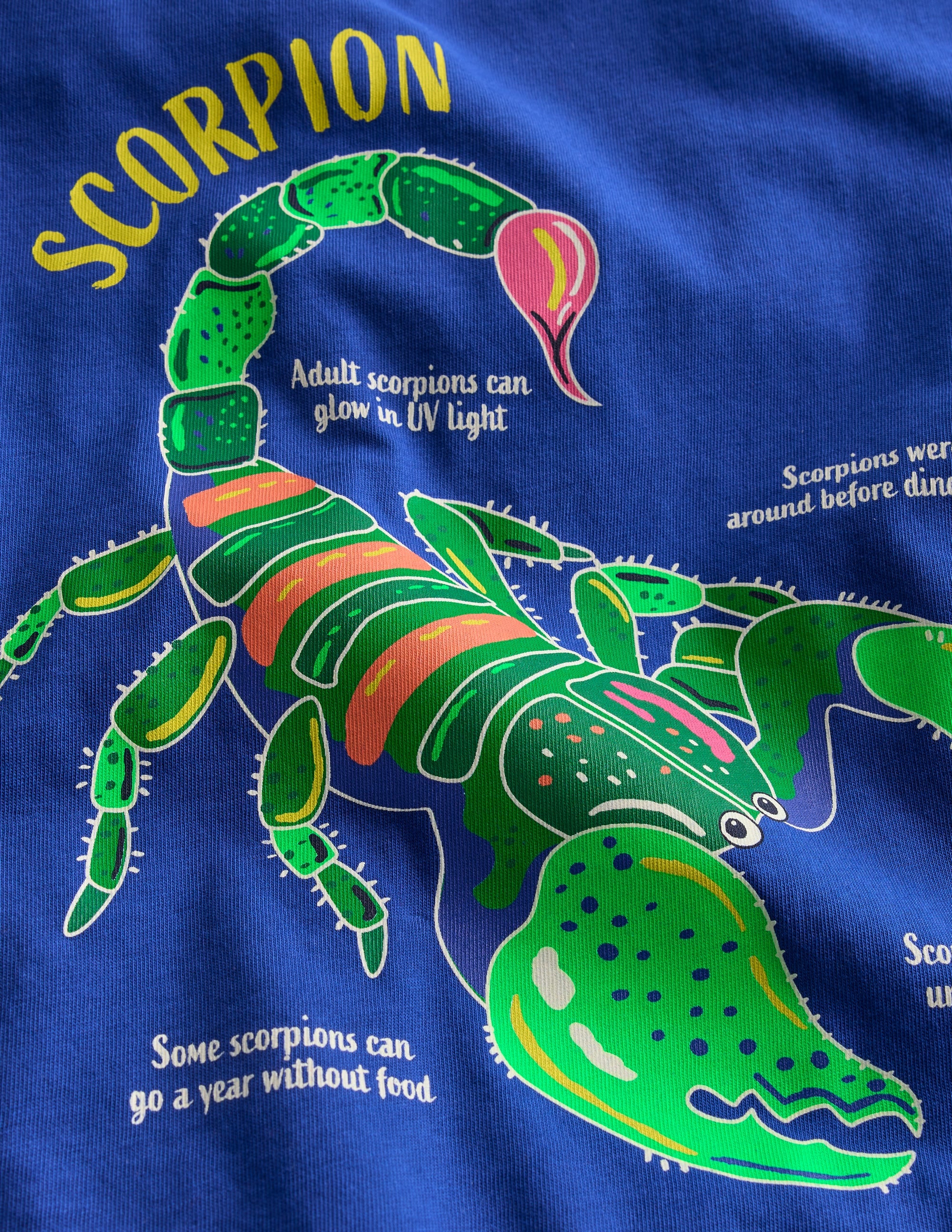 T-shirt phosphorescent-Scorpion bleu vif - Image 3