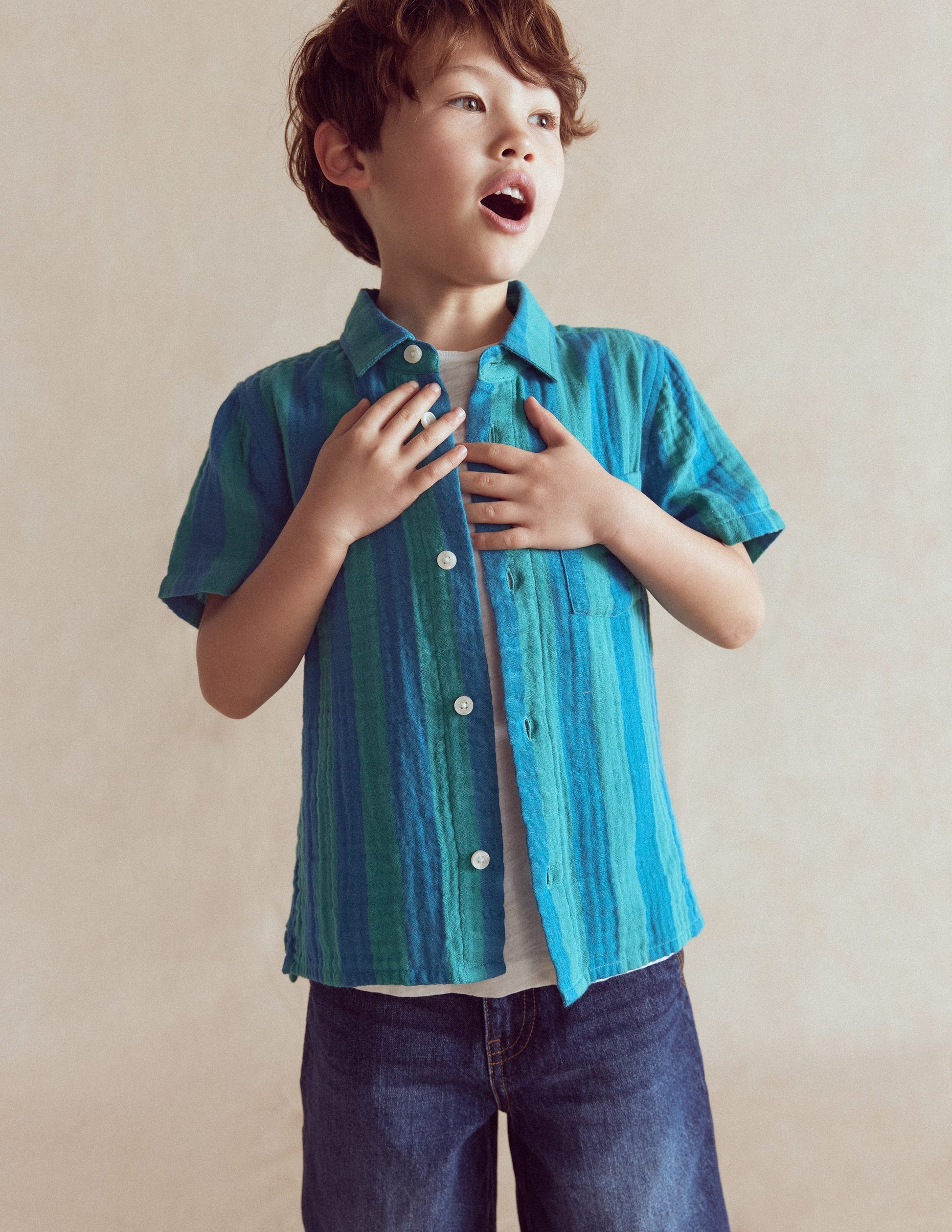 Chemise double-étoffe-Rayé vert et bleu-2