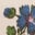 Jerseyoberteil mit Lochstickerei am Kragen-Vanilleweiß Blumenmuster
