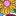 Wasserdichter Allwettermantel-Bunt Kleines Blumenmuster