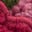 Auffällige Teddyfelljacke-Rosa Himbeeren