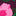 Steppmantel mit Teddyfellfutter-Rosa Stiefmütterchen Blume