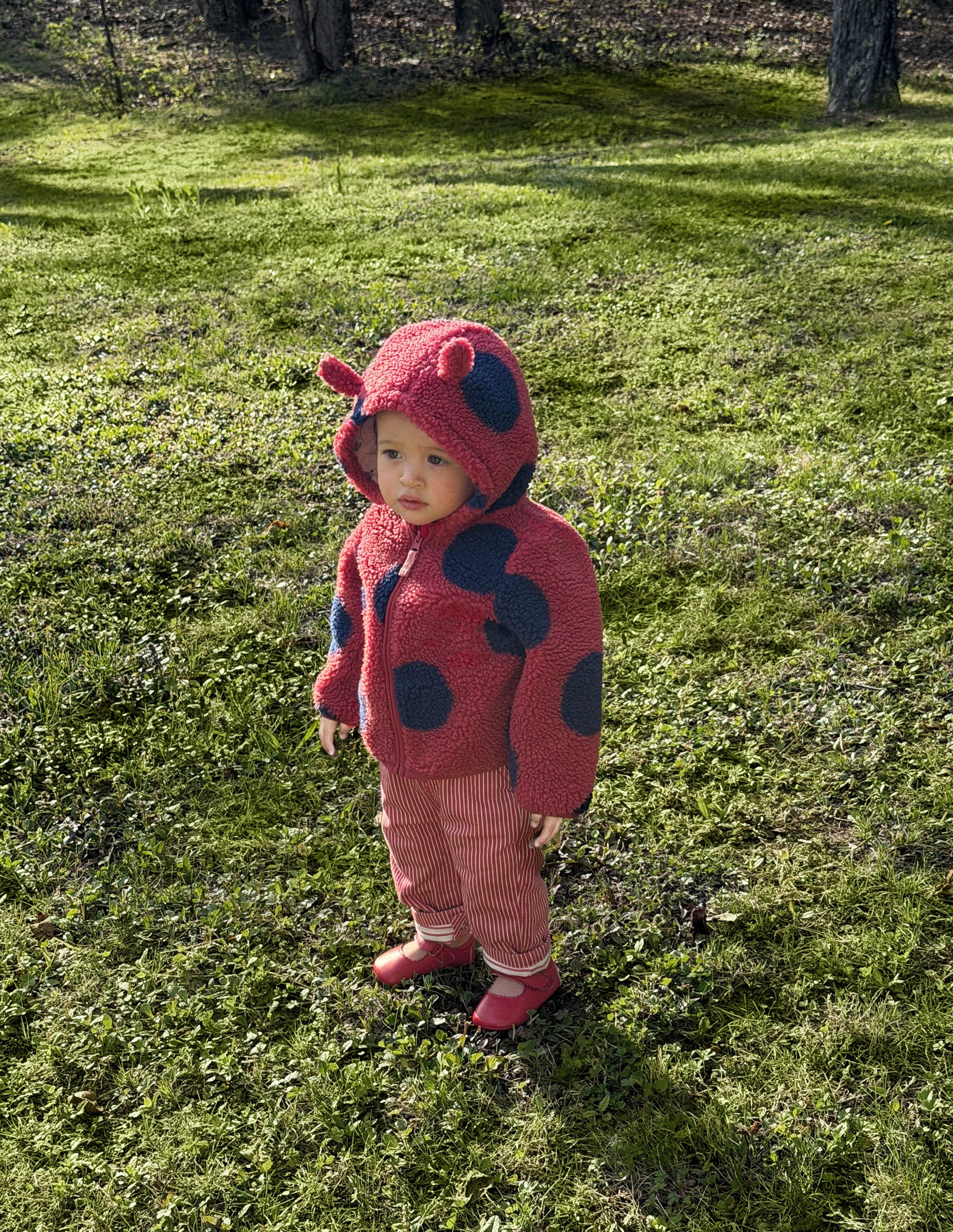Originelle, kuschelige Teddyfell-Jacke-Rot - Image 1