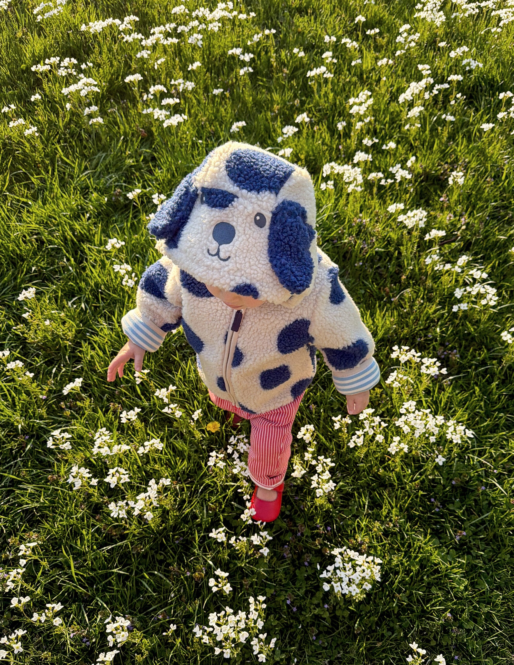 Novelty Cosy Borg Jacket-Navy & Ivory Dog - Image 1