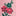 Schürzenkleid-Set aus Jersey-Rosa Kleine Vintage-Rosen