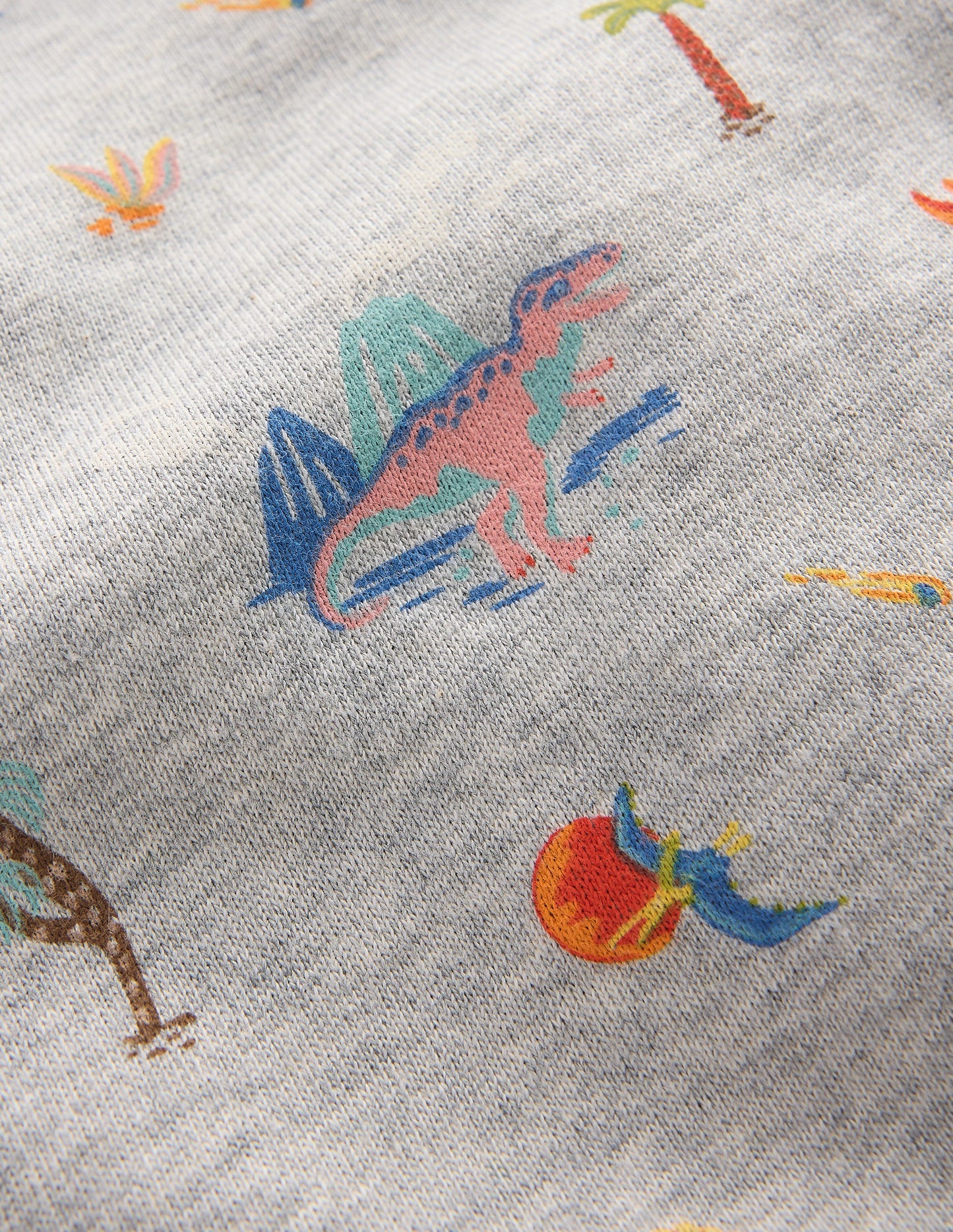 Sweat imprimé-Dinosaures gris chiné