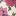 Ensemble avec tunique en jersey-Lit de fleurs rose vintage