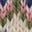 Fair-Isle-Strickpullover-Set-Rosa Heide