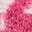 Kragenloser Blazer aus Wollmischgewebe-Rosa Hahnentrittmuster