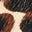 Nadia Chisel Toe Flats-Classic Leopard