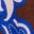 Georgia Jersey-Midikleid-Marineblau, Blühender Frühlingsstempel