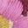 Jemma Jacquard-Strickjacke-Haferbeige Meliert, Stickerei