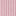Canonbury Cordhose-Rosa Violett